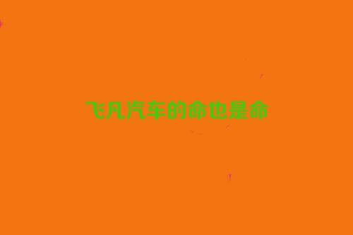 飞凡汽车的命也是命