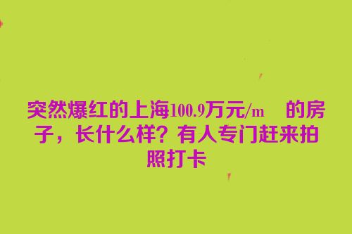 突然爆红的上海100.9万元/m²的房子，长什么样？有人专门赶来拍照打卡