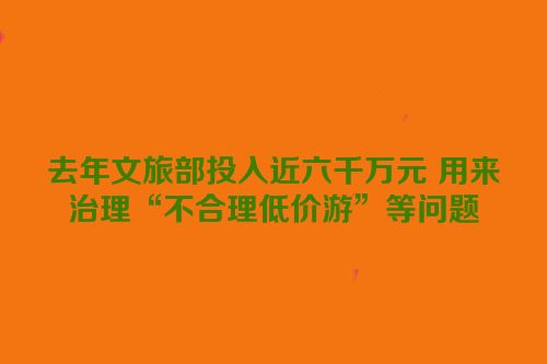 去年文旅部投入近六千万元 用来治理“不合理低价游”等问题