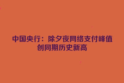 中国央行：除夕夜网络支付峰值创同期历史新高