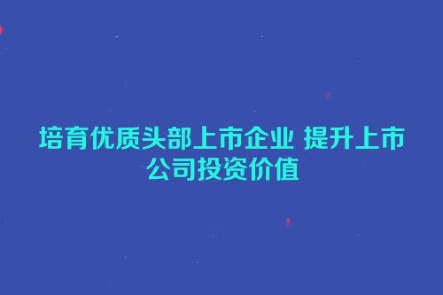 培育优质头部上市企业 提升上市公司投资价值