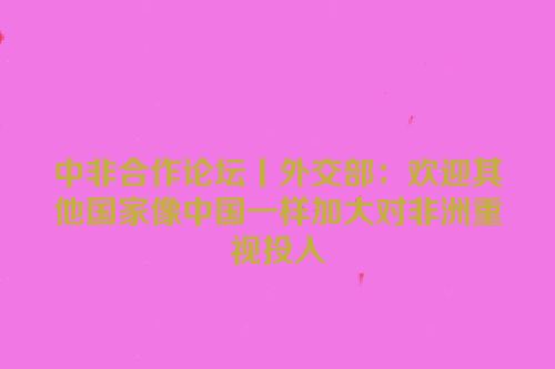 中非合作论坛丨外交部：欢迎其他国家像中国一样加大对非洲重视投入