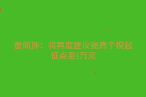 董明珠：将再度建议提高个税起征点至1万元