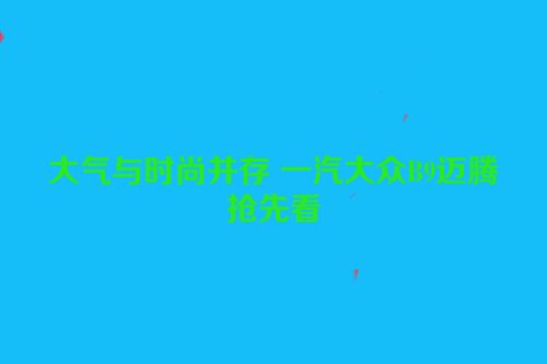 大气与时尚并存 一汽大众B9迈腾抢先看