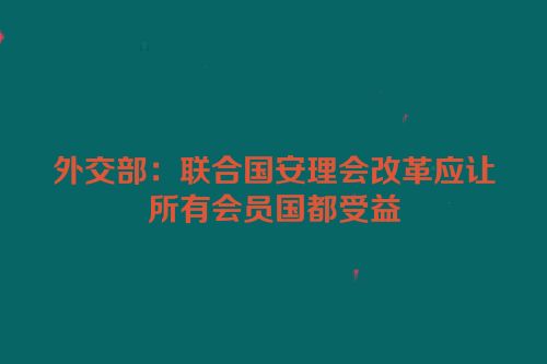 外交部：联合国安理会改革应让所有会员国都受益