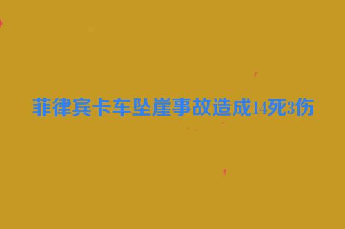 菲律宾卡车坠崖事故造成14死3伤