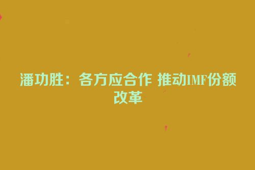 潘功胜：各方应合作 推动IMF份额改革
