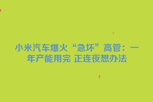 小米汽车爆火“急坏”高管：一年产能用完 正连夜想办法