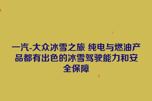 一汽-大众冰雪之旅 纯电与燃油产品都有出色的冰雪驾驶能力和安全保障