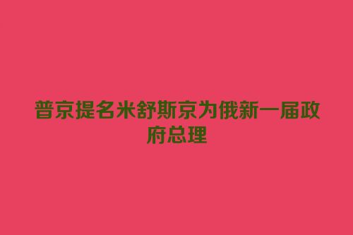 普京提名米舒斯京为俄新一届政府总理