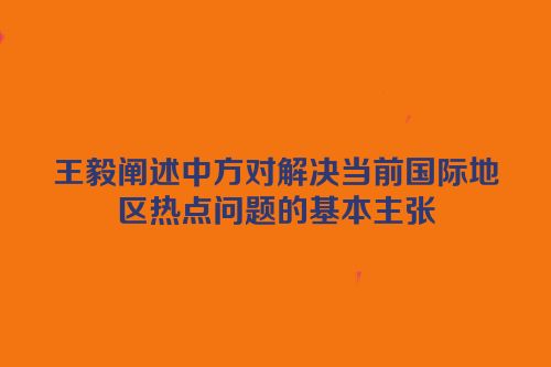 王毅阐述中方对解决当前国际地区热点问题的基本主张
