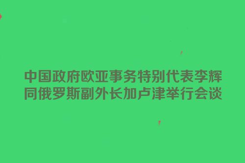 中国政府欧亚事务特别代表李辉同俄罗斯副外长加卢津举行会谈