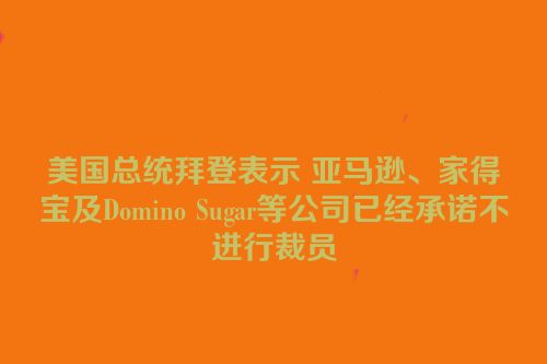 美国总统拜登表示 亚马逊、家得宝及Domino Sugar等公司已经承诺不进行裁员