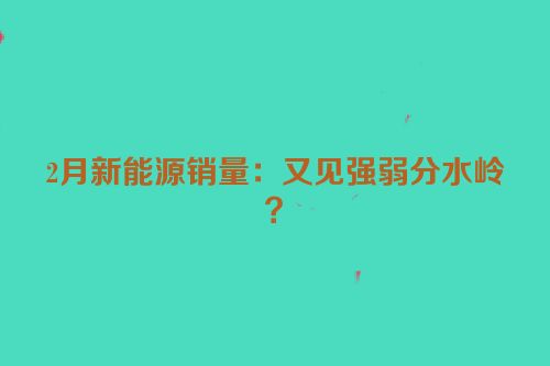 2月新能源销量：又见强弱分水岭？