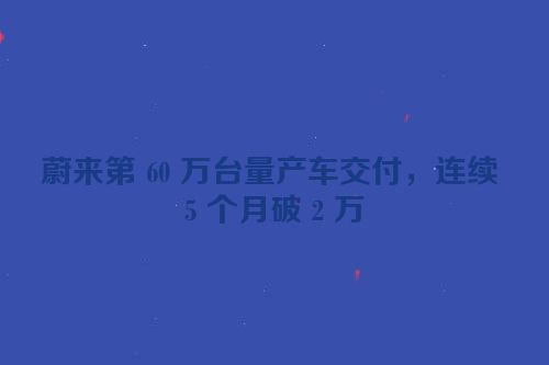 蔚来第 60 万台量产车交付，连续 5 个月破 2 万