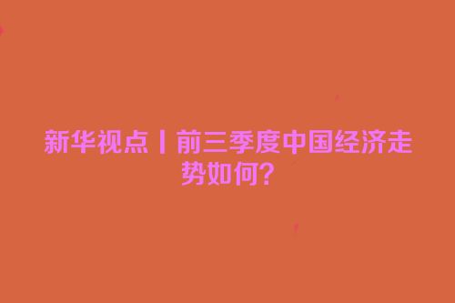 新华视点丨前三季度中国经济走势如何？