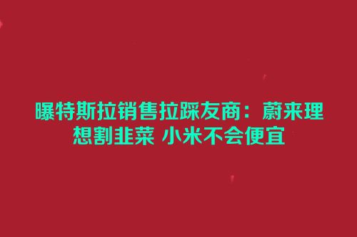 曝特斯拉销售拉踩友商：蔚来理想割韭菜 小米不会便宜