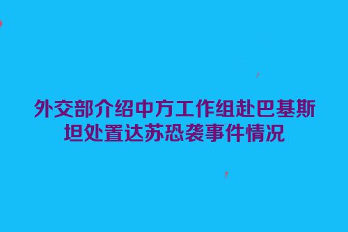 外交部介绍中方工作组赴巴基斯坦处置达苏恐袭事件情况