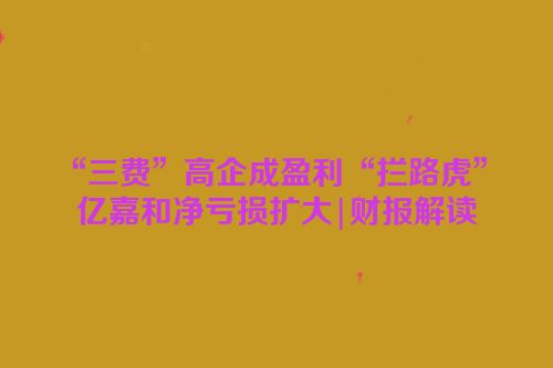 “三费”高企成盈利“拦路虎” 亿嘉和净亏损扩大|财报解读