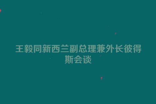 王毅同新西兰副总理兼外长彼得斯会谈