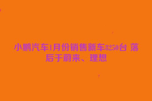 小鹏汽车1月份销售新车8250台 落后于蔚来、理想