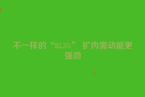 不一样的“85.5%” 扩内需动能更强劲