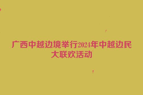 广西中越边境举行2024年中越边民大联欢活动