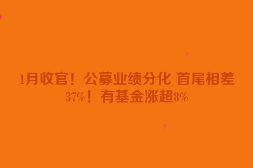1月收官！公募业绩分化 首尾相差37%！有基金涨超8%