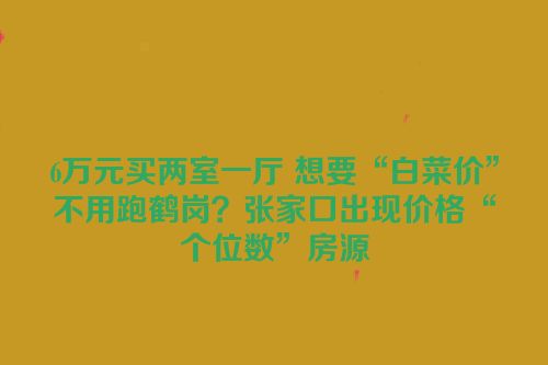 6万元买两室一厅 想要“白菜价”不用跑鹤岗？张家口出现价格“个位数”房源