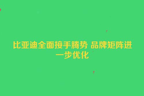 比亚迪全面接手腾势 品牌矩阵进一步优化
