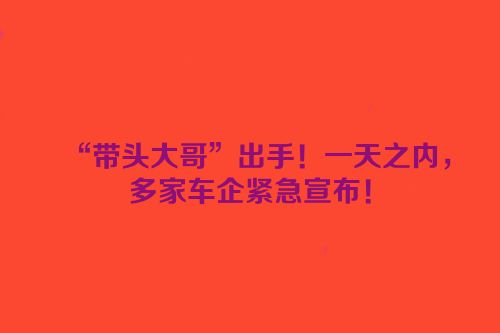 “带头大哥”出手！一天之内，多家车企紧急宣布！