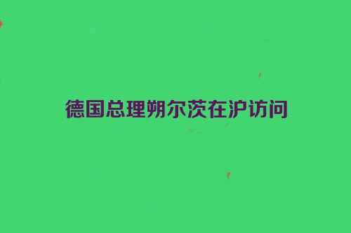 德国总理朔尔茨在沪访问