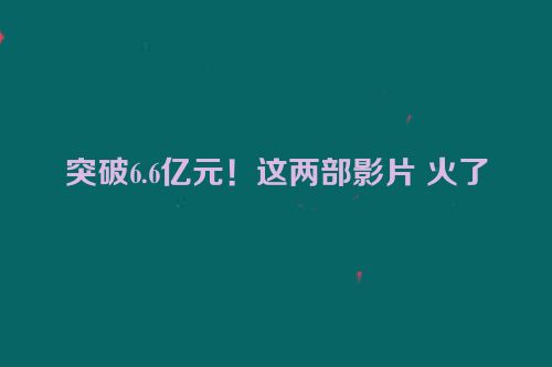 突破6.6亿元！这两部影片 火了
