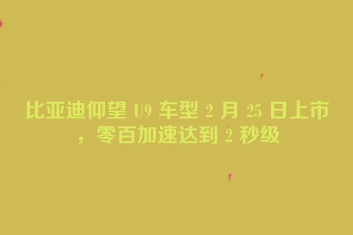 比亚迪仰望 U9 车型 2 月 25 日上市，零百加速达到 2 秒级
