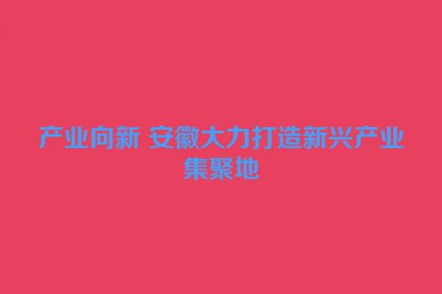 产业向新 安徽大力打造新兴产业集聚地