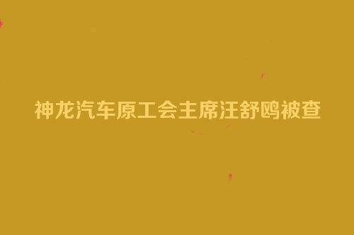 神龙汽车原工会主席汪舒鸥被查