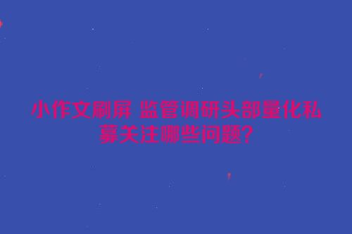 小作文刷屏 监管调研头部量化私募关注哪些问题？