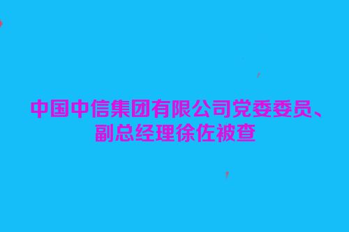中国中信集团有限公司党委委员、副总经理徐佐被查