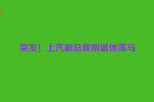 突发！上汽副总裁刚退休落马