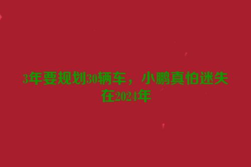 3年要规划30辆车，小鹏真怕迷失在2024年