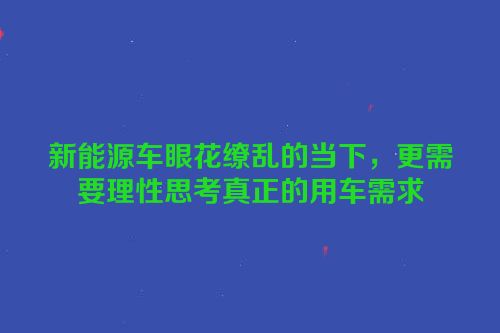 新能源车眼花缭乱的当下，更需要理性思考真正的用车需求