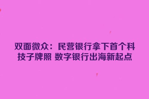双面微众：民营银行拿下首个科技子牌照 数字银行出海新起点