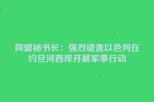阿盟秘书长：强烈谴责以色列在约旦河西岸开展军事行动