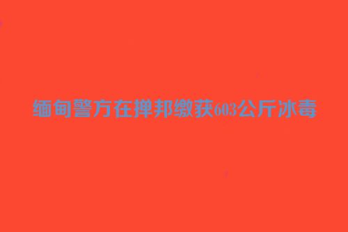 缅甸警方在掸邦缴获603公斤冰毒