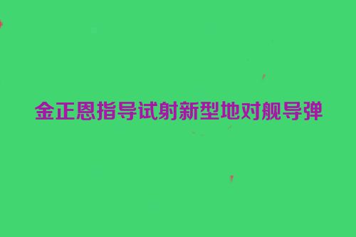 金正恩指导试射新型地对舰导弹