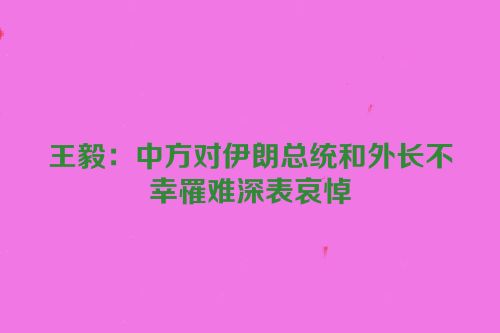王毅：中方对伊朗总统和外长不幸罹难深表哀悼