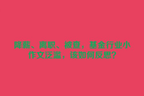 降薪、离职、被查，基金行业小作文泛滥，该如何反思？