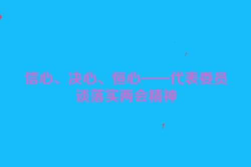 信心、决心、恒心——代表委员谈落实两会精神