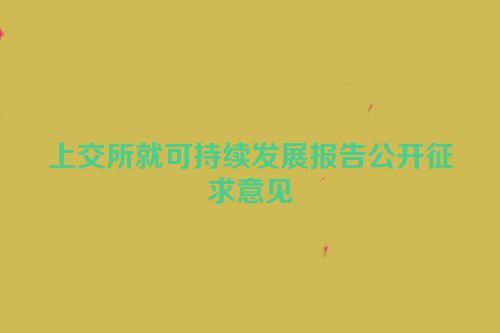 上交所就可持续发展报告公开征求意见