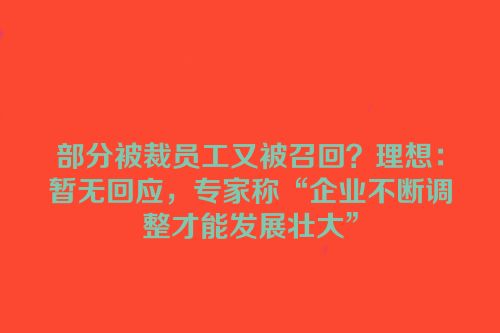 部分被裁员工又被召回？理想：暂无回应，专家称“企业不断调整才能发展壮大”